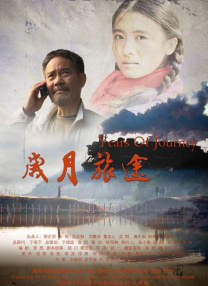 HD国语中字